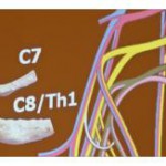 2. Interdisziplinäres Hamburger Neurokolloquium IHN 2012 2. Interdisziplinäres Hamburger Neurokolloquium IHN 2012